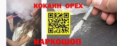 крисы Дубна