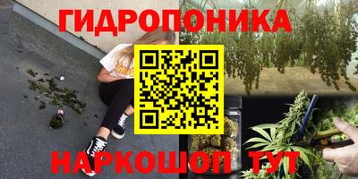 крисы Дубна