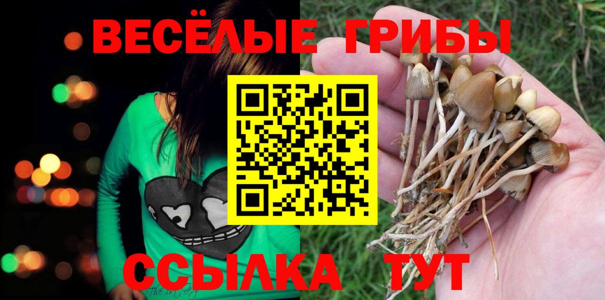 Галлюциногенные грибы мухоморы Менделеевск